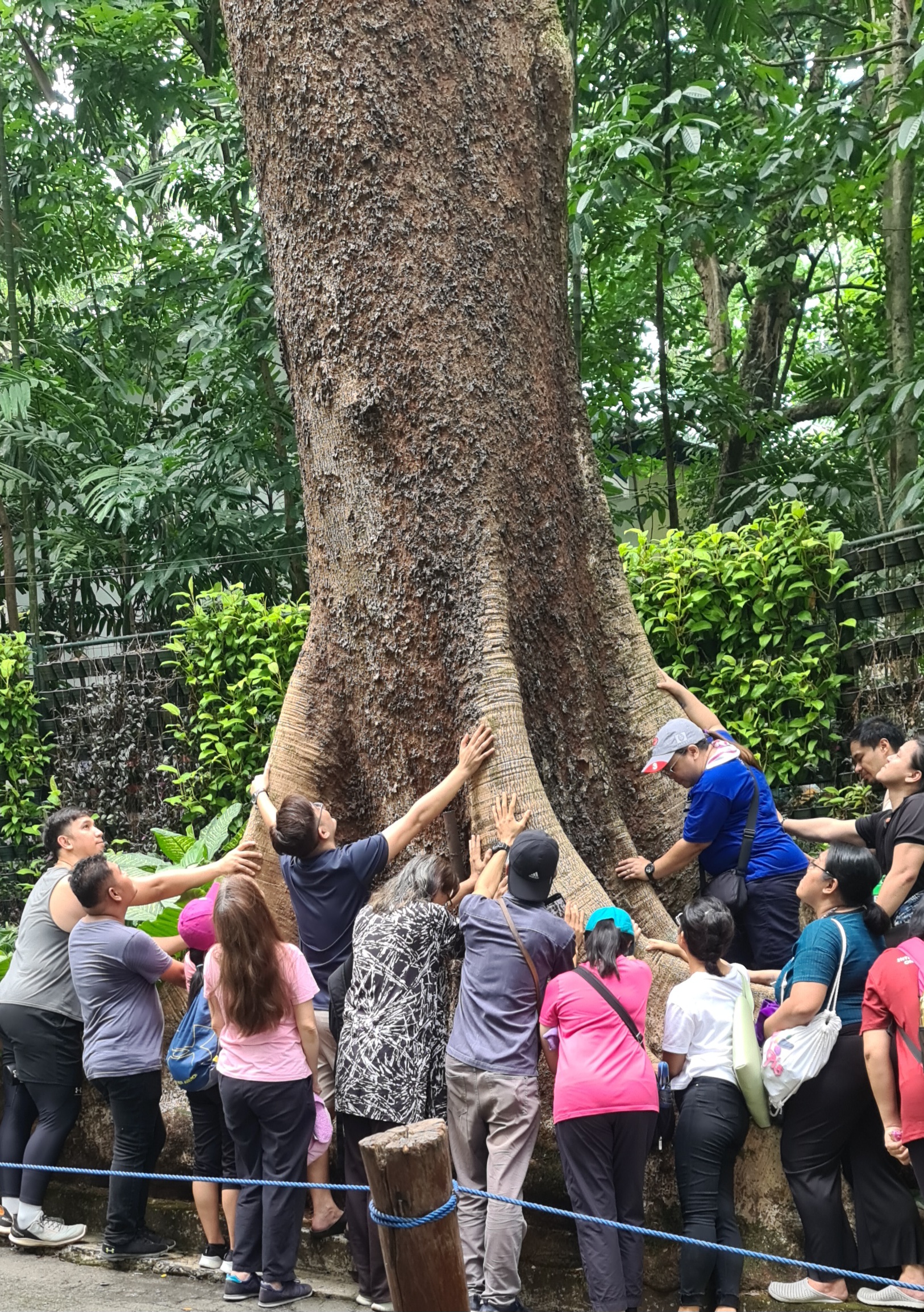 Laudato Si retreat tree-hugging activity
