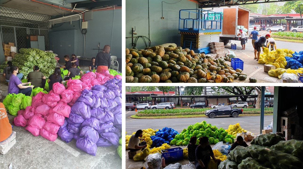 ACED Food Packs Collage