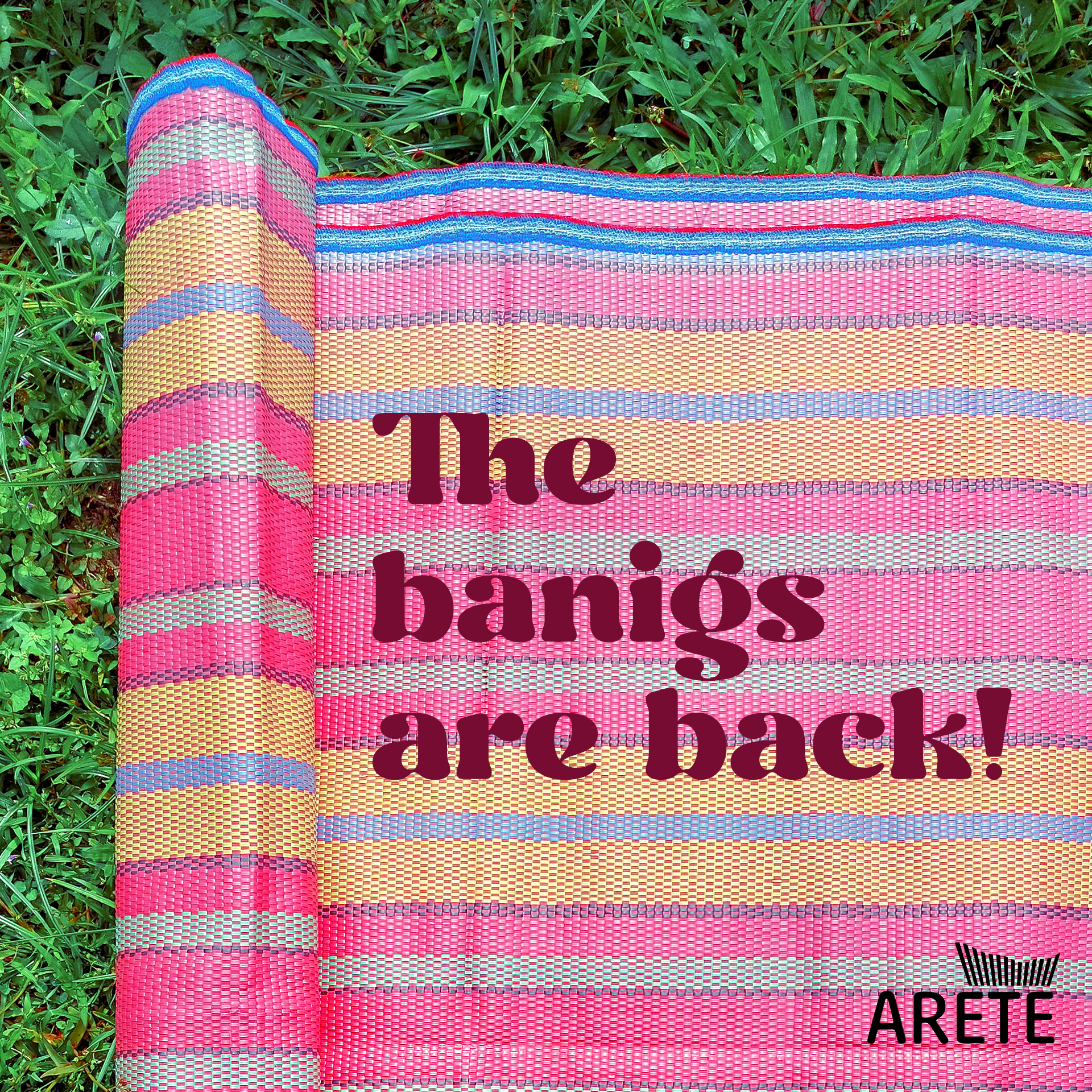 Graphic image of a banig laid on the grass with text on top that reads "The banigs are back!", with Arete logo at the bottom