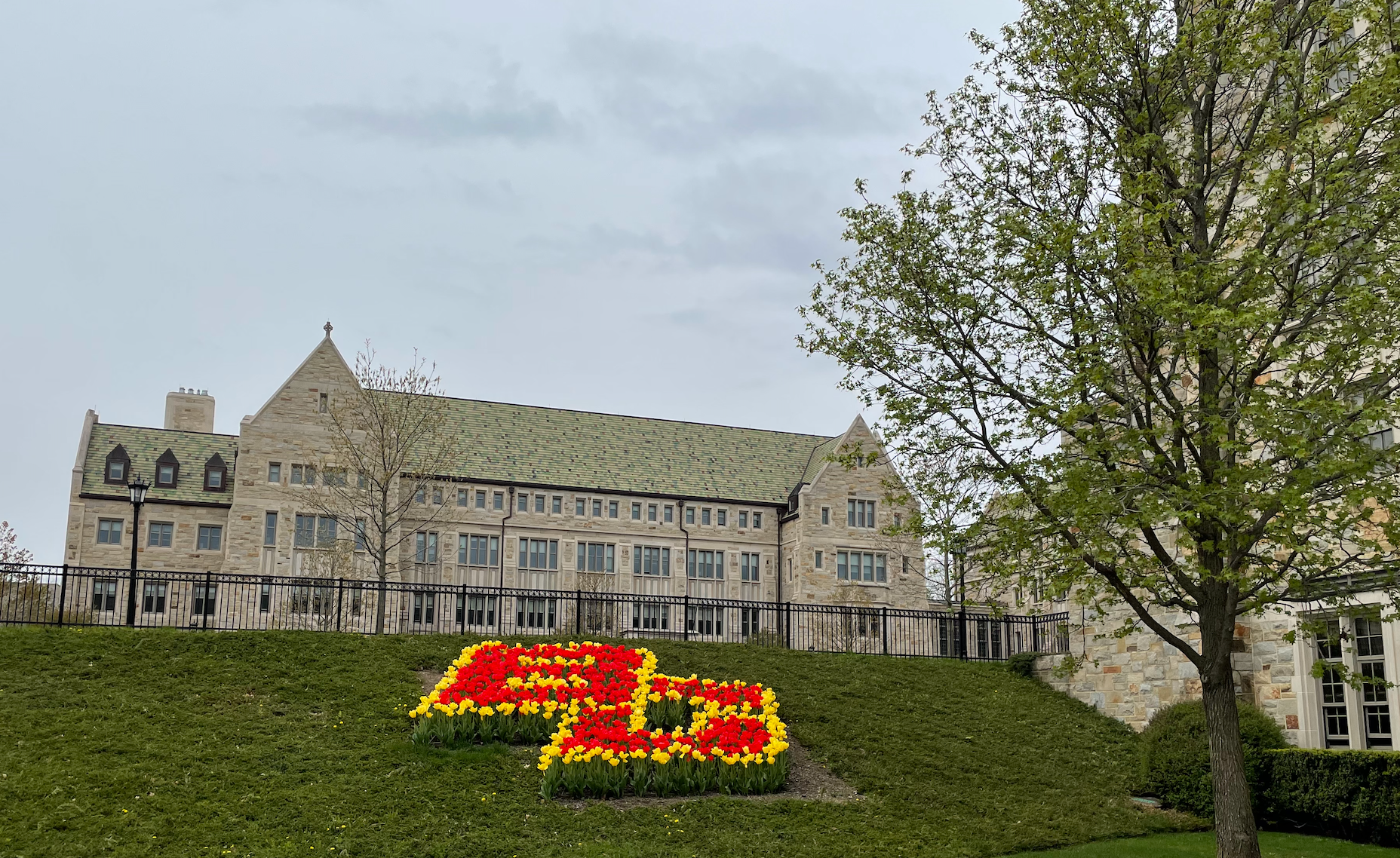 Boston College Grounds