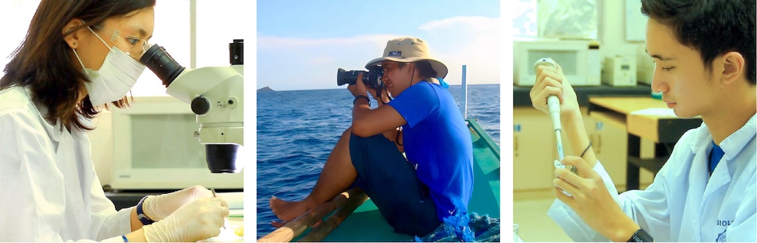 Undergraduate Composite