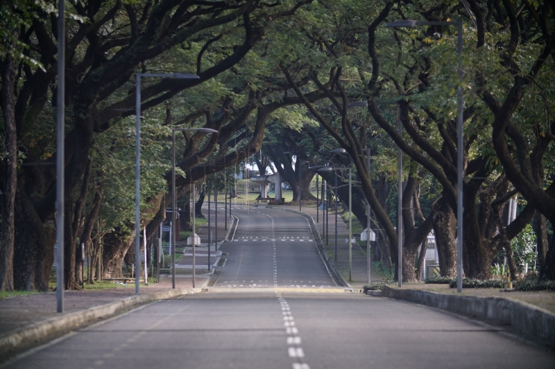 Pedestrian Friendly Campus