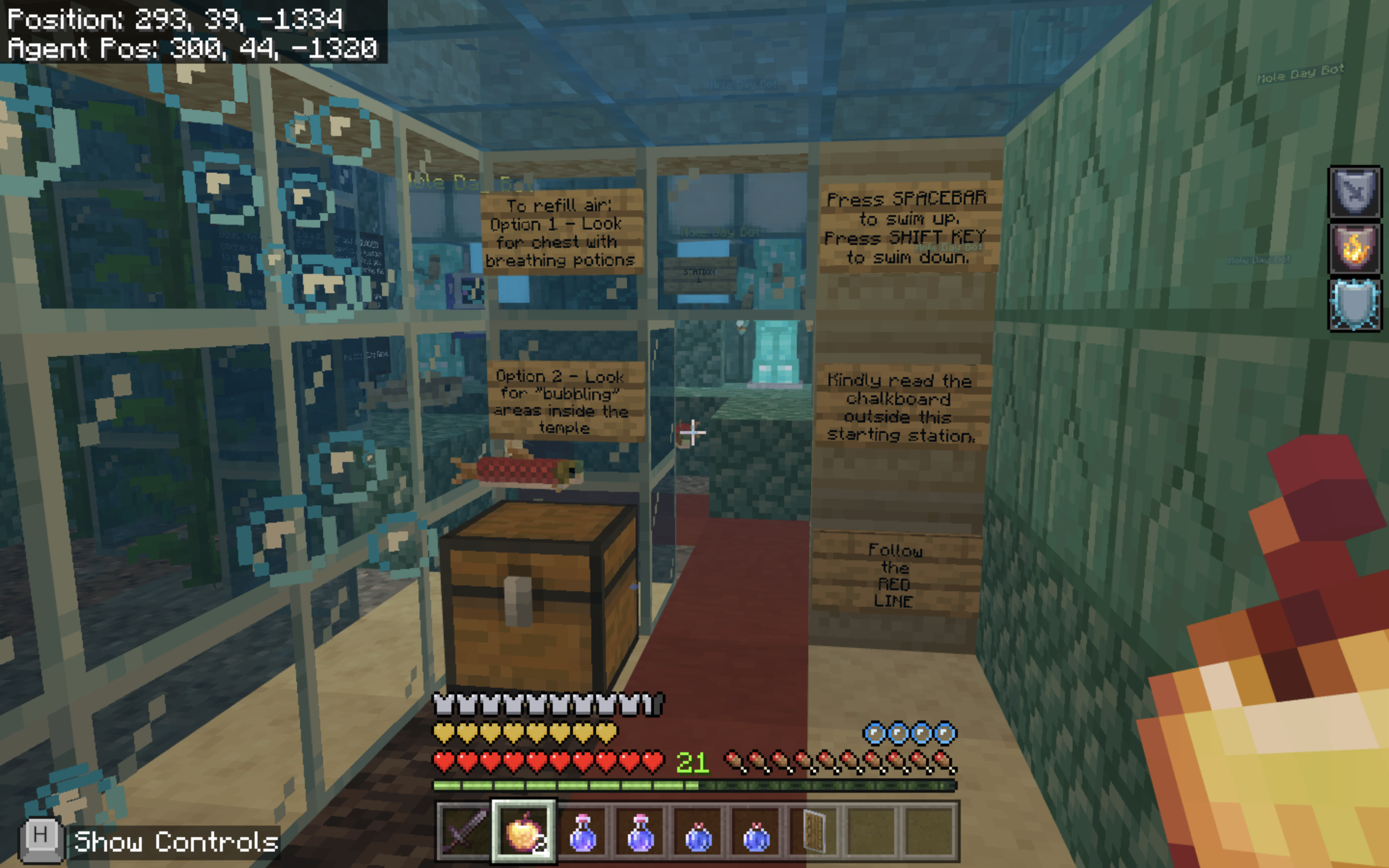 Screenshot of Mr. Subang’s “Finding NeMole” world 