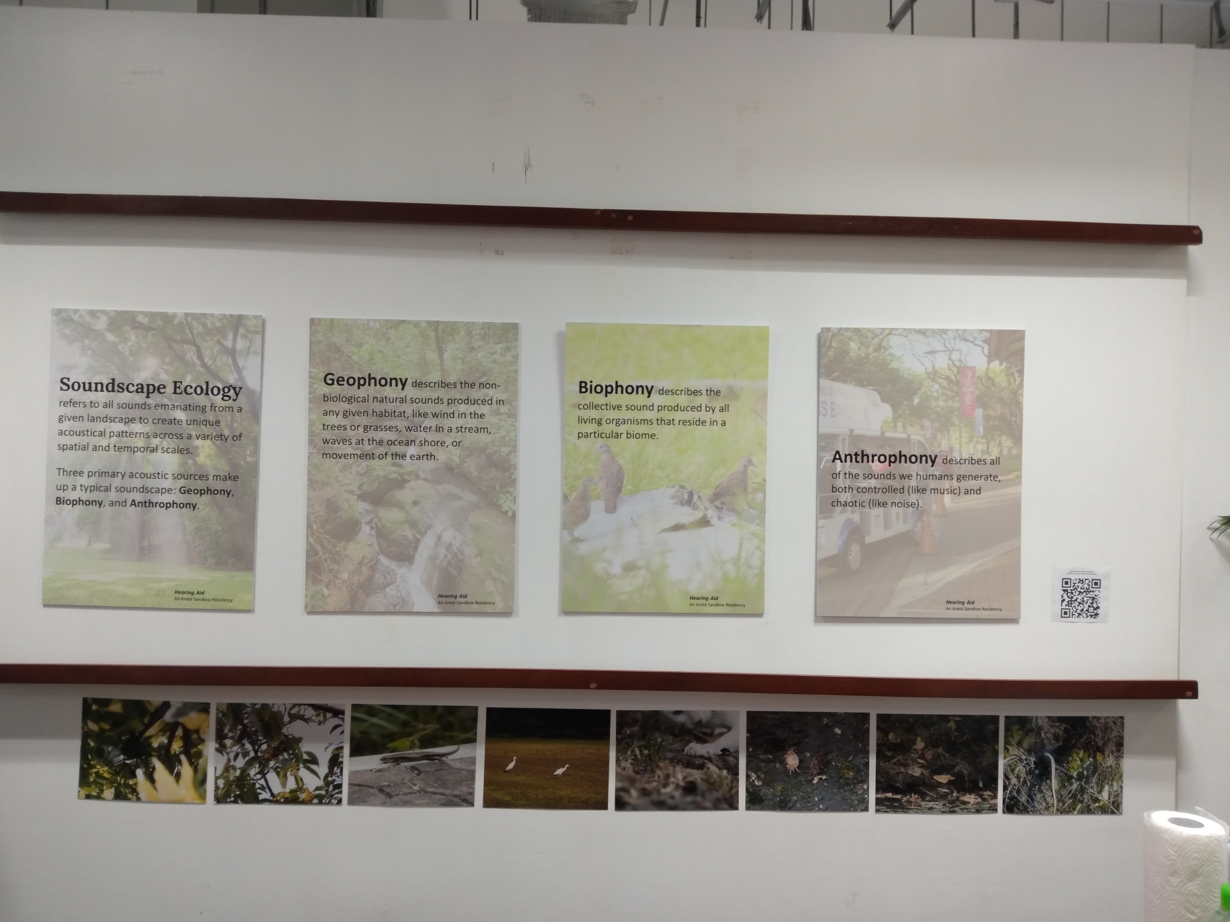 Sounds classified as geophony, biophony and anthrophony