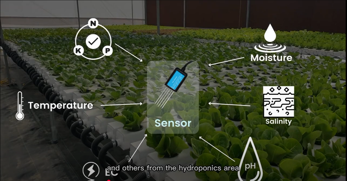Hydroponics Monitoring System