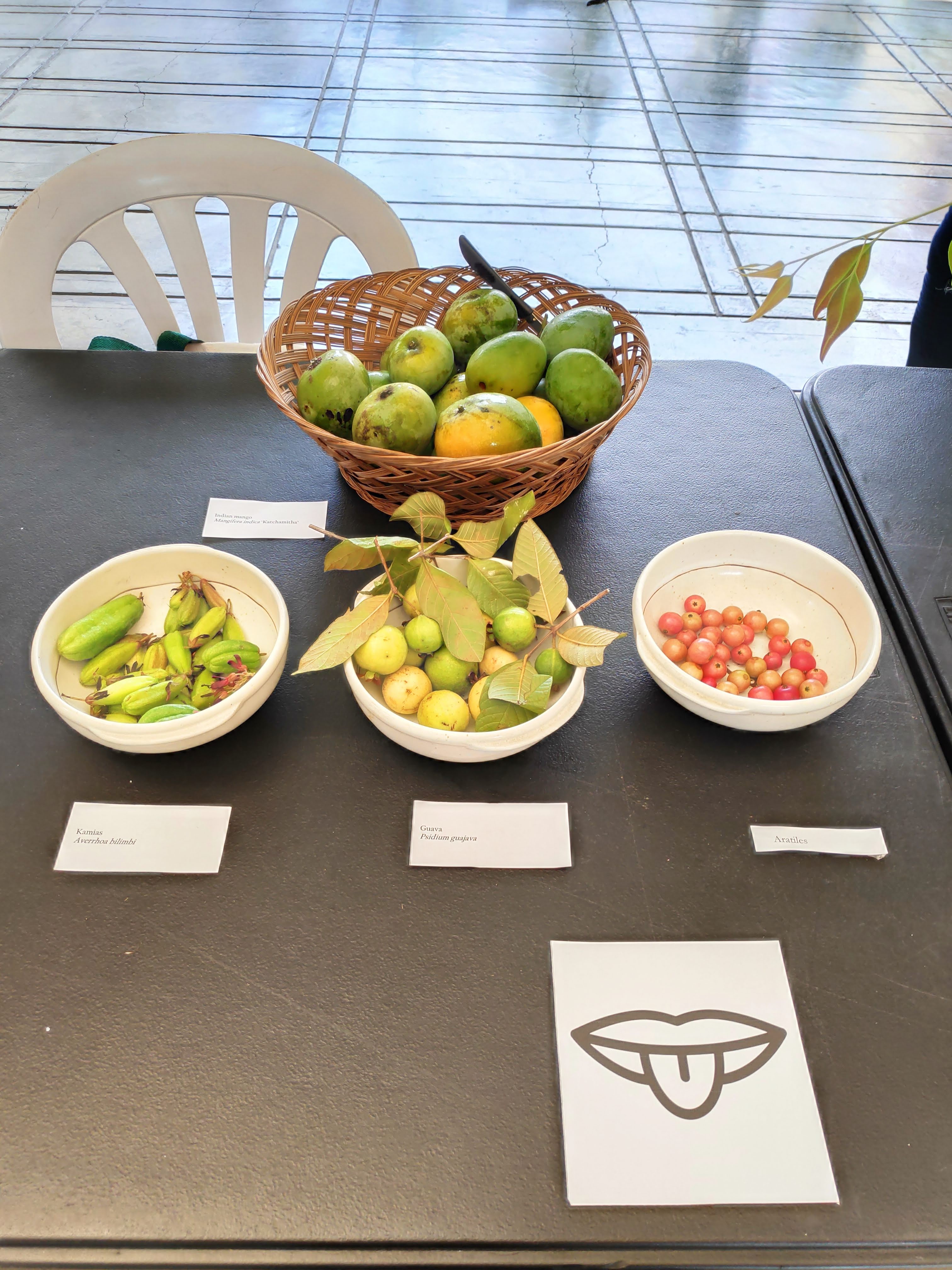 Everyone was encouraged to use all five of their senses to observe nature!