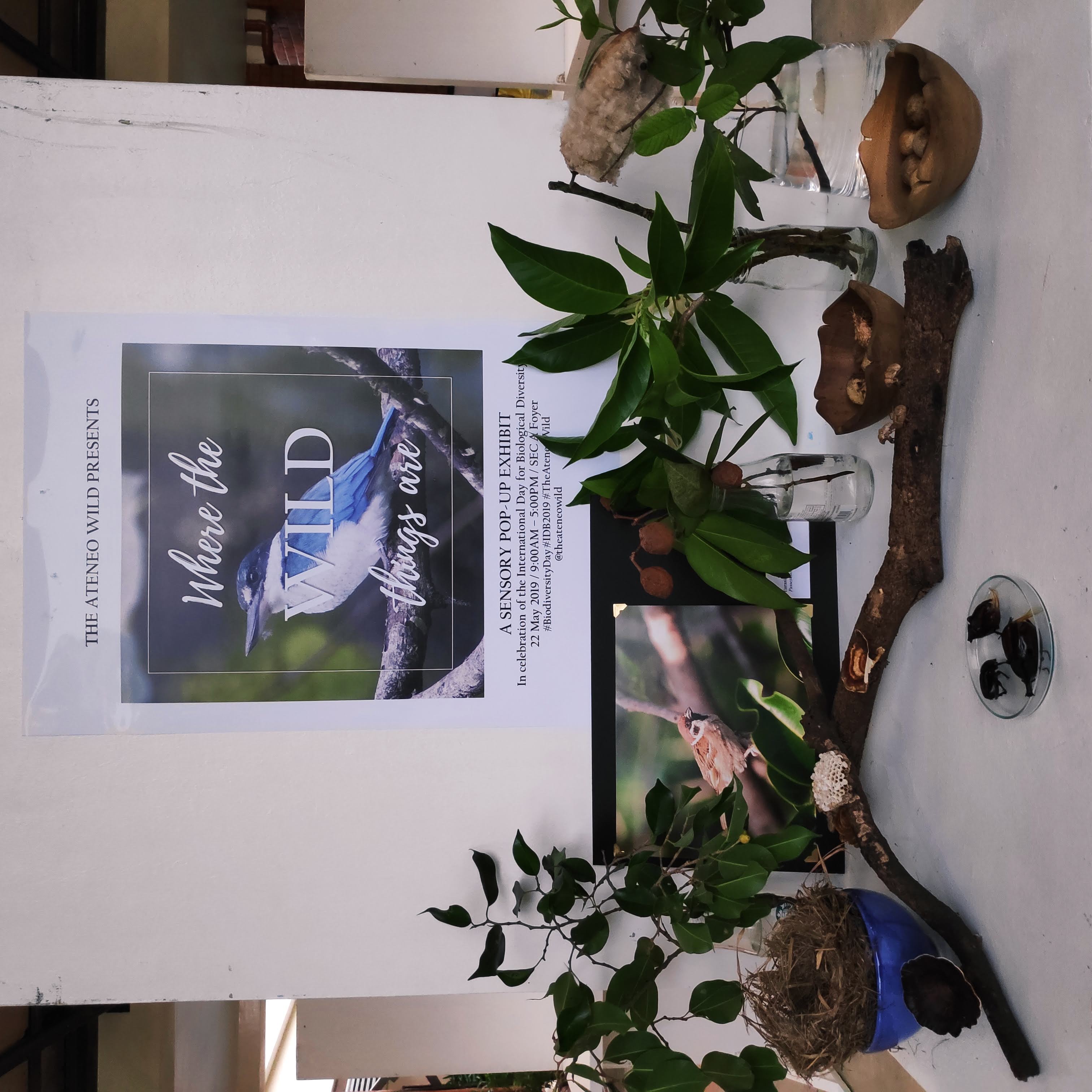 Various natural artefacts from the campus