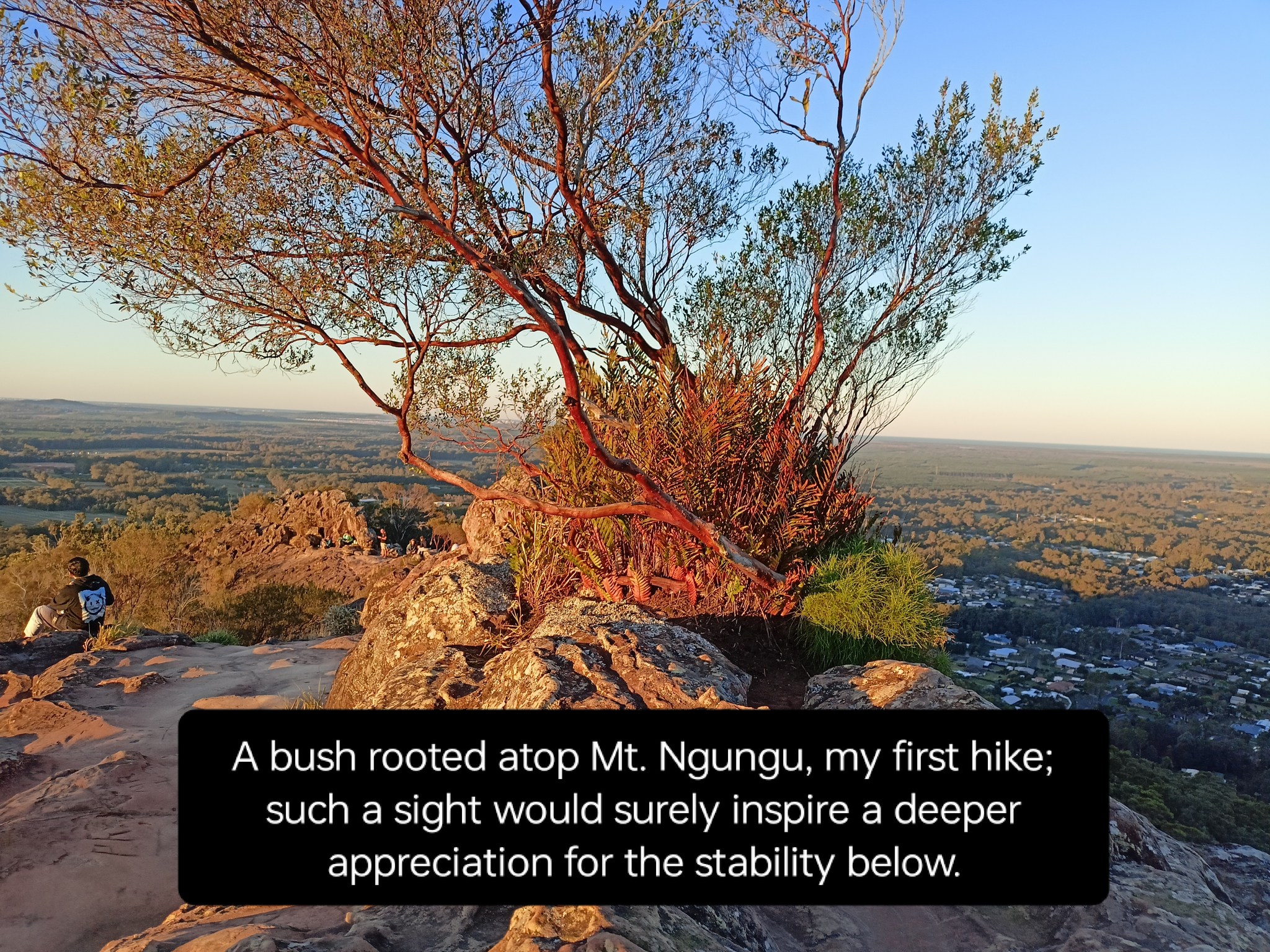 Slide submitted by Angelo Marcia