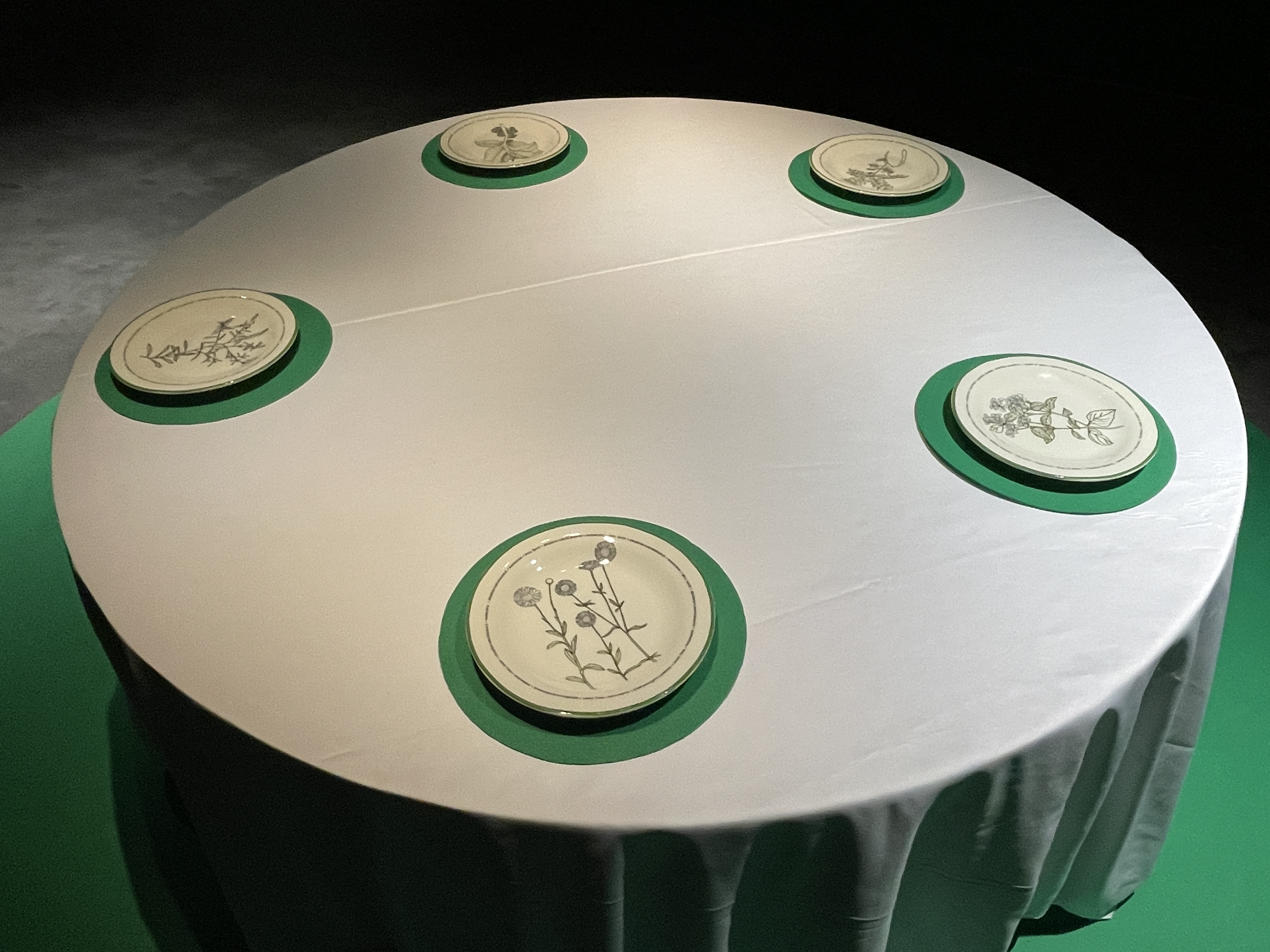 Exhibition shot of Malas Hierbas from Muntadas: Exercises on Past and Present Memories at Ateneo Art Gallery (2021 iteration). Photo by Clefvan Pornela.