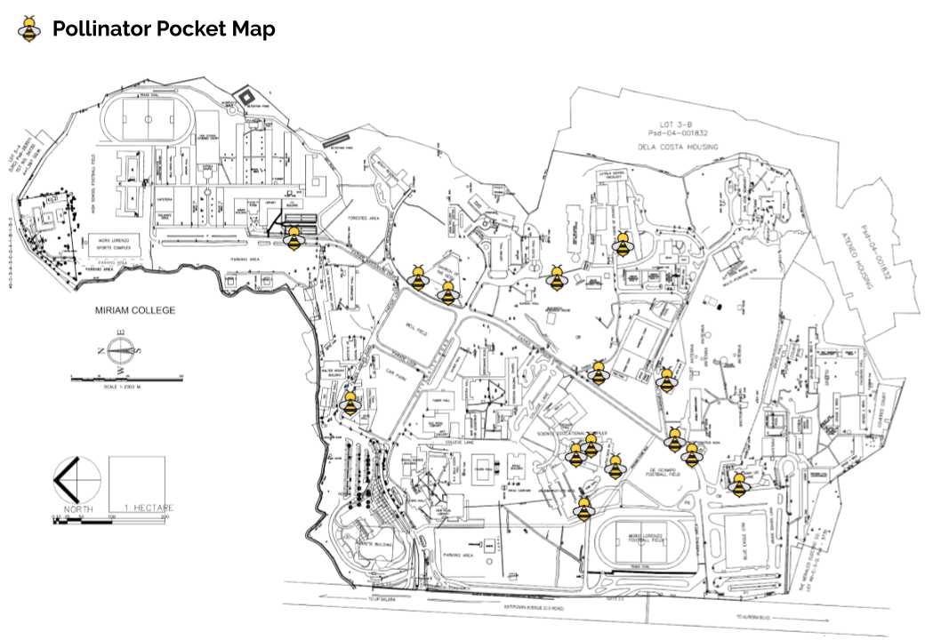 Pollinator Pocket Map