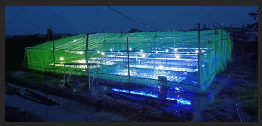 SHIELDS - AIC Candaba Hydroponics Farm