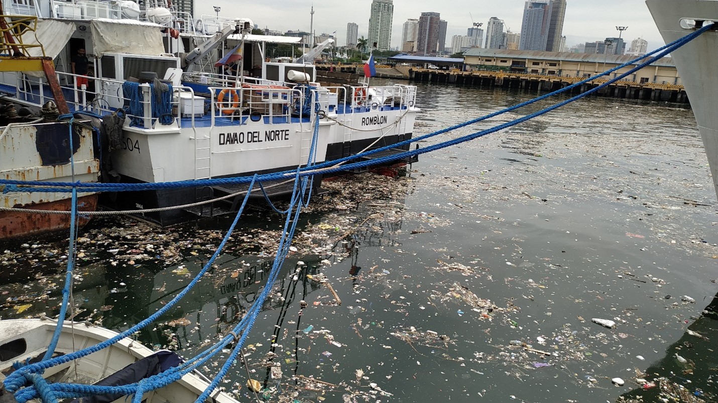 SOSE Research Fellow Lecture_Dr Young_1