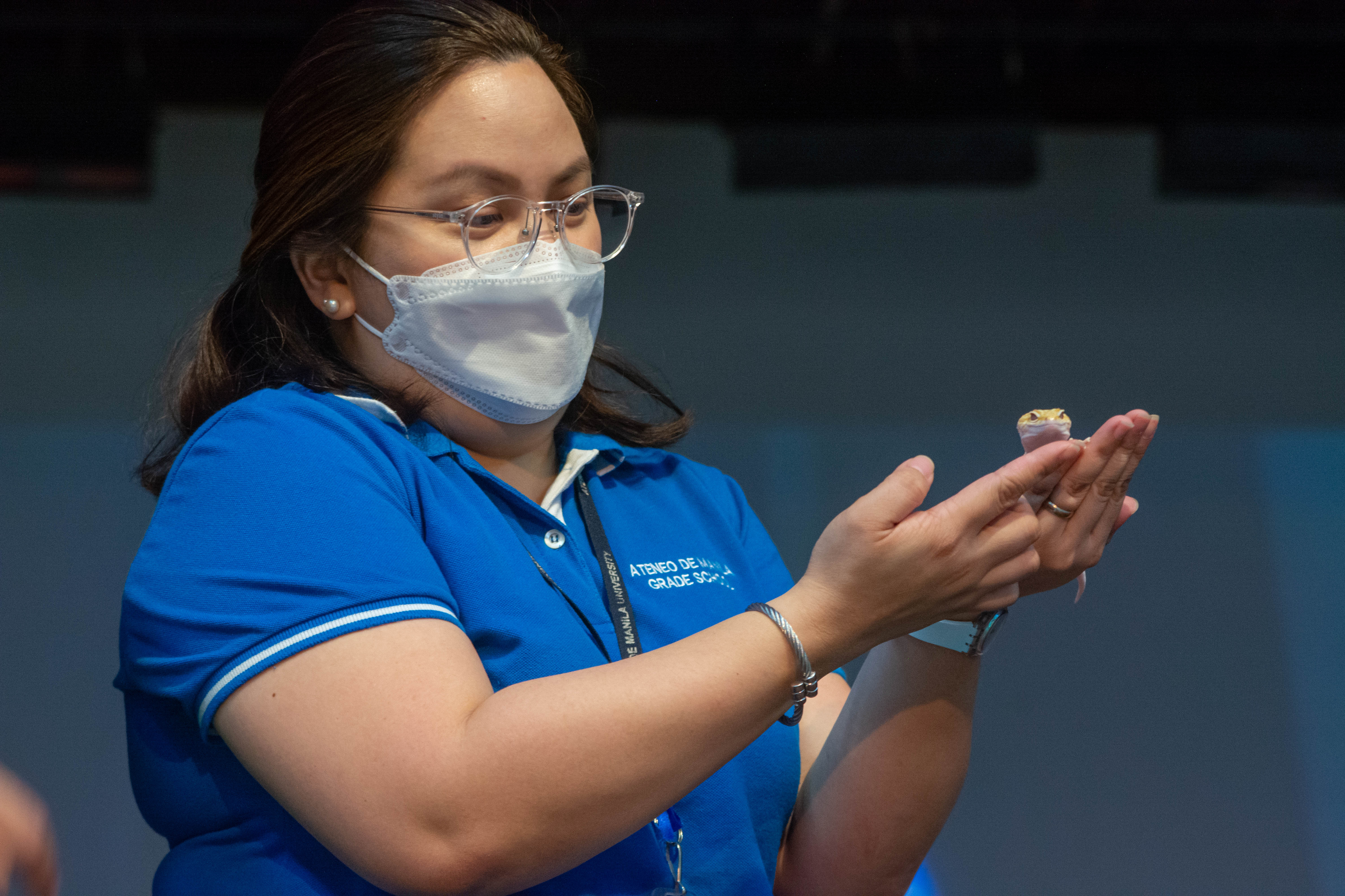 The gecko is a pocket-sized creature.