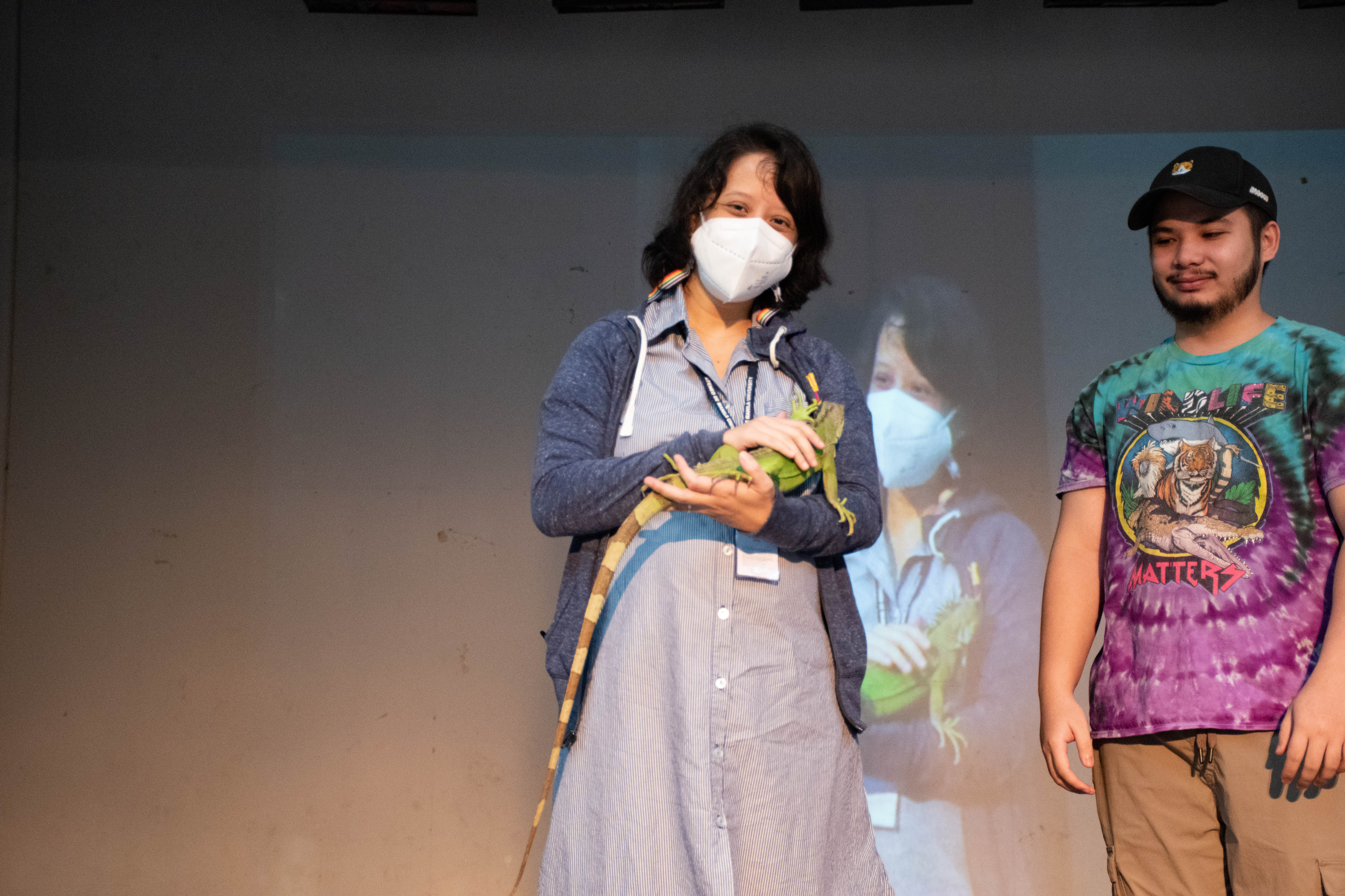 Iguana walk on your arm!