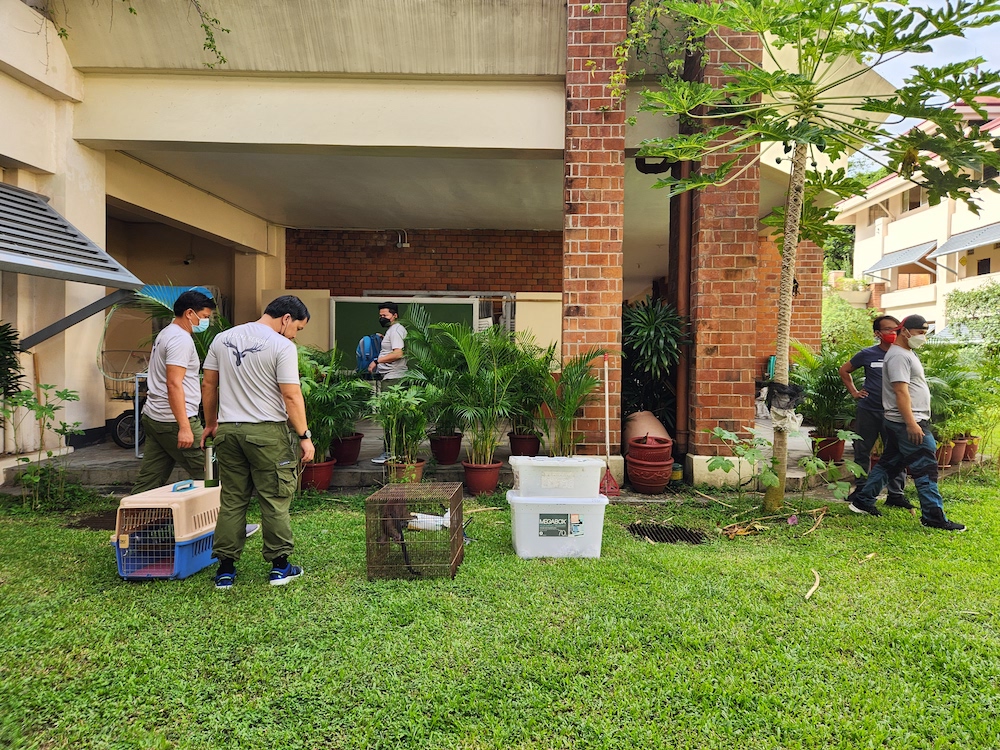 Wildlife handling workshop