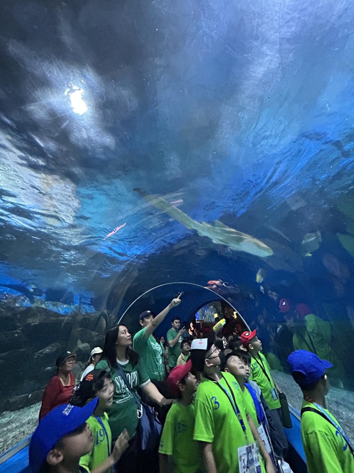 The boys are in awe of the Oceanarium's sea creatures