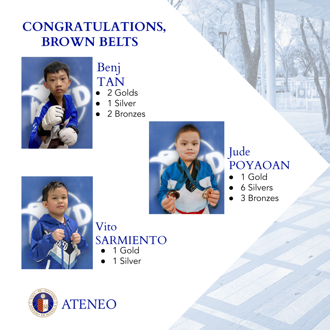 Brown Belt 2 slide 5