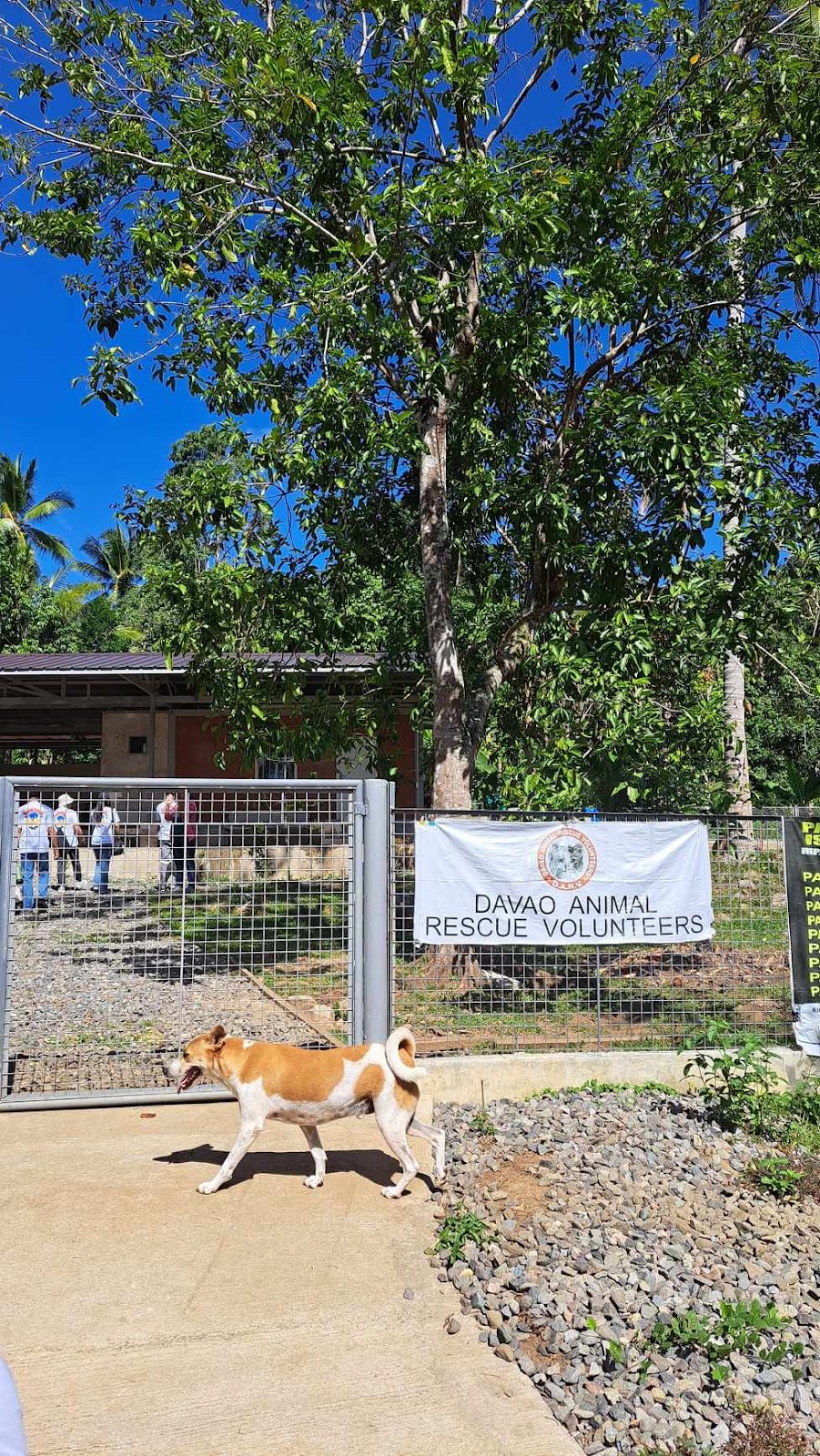 Campers arrive at the Davao Animal Rescue Shelter