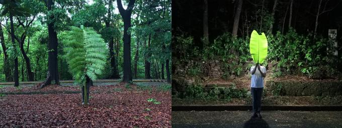 Fr. Jason Dy’s #IamTREE series presents man and nature as one. Photo on the right by Fr. Ro Atilano, SJ