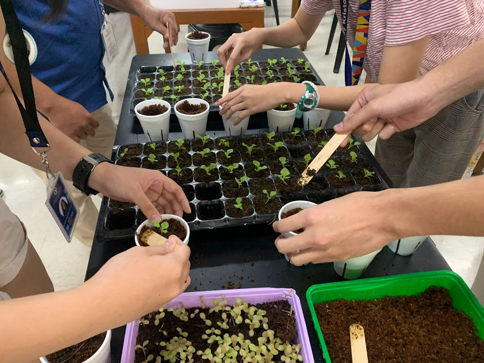 Hydroponics Workshop