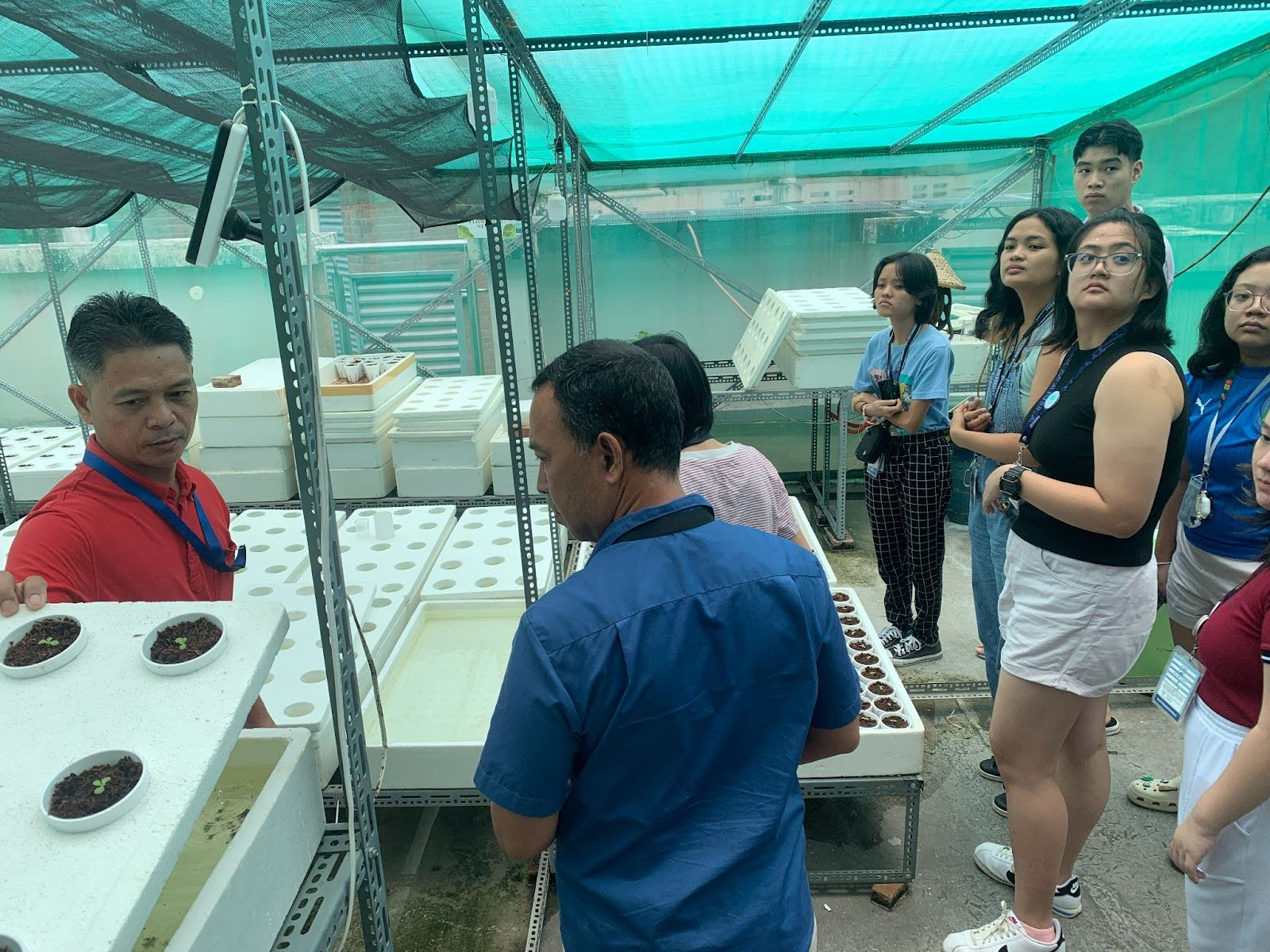 Hydroponics Workshop 2