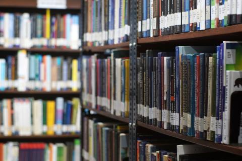 Books at the Professional Schools library