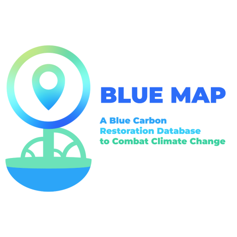 Blue Map Square