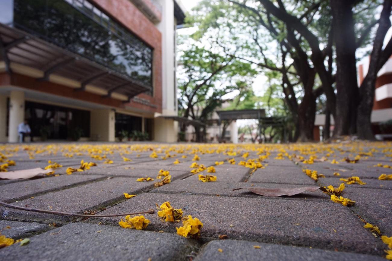 College Lane empty Brick Road