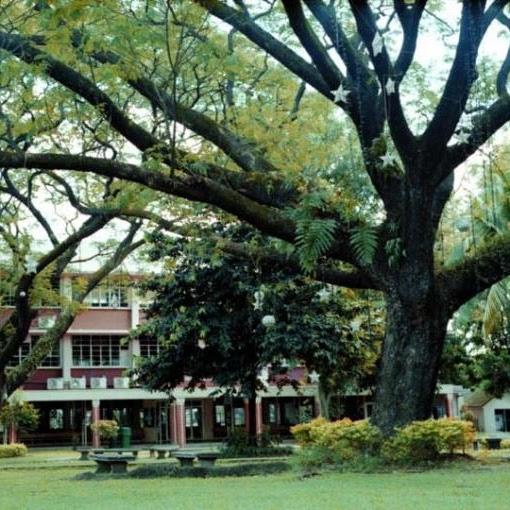 Arete: Borrow a Mat Project article photo (1)