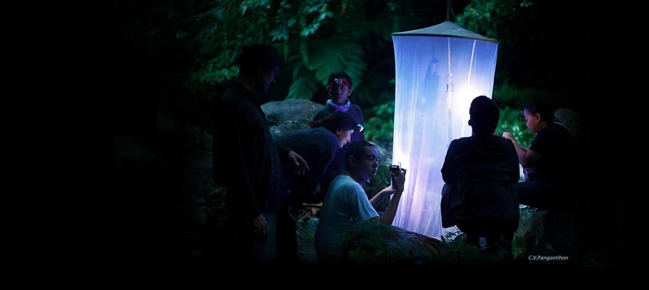 Department of Biology