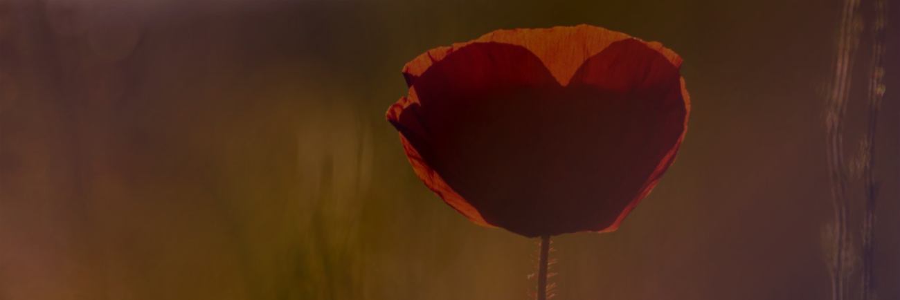 Ash Wednesday and Valentine’s Day