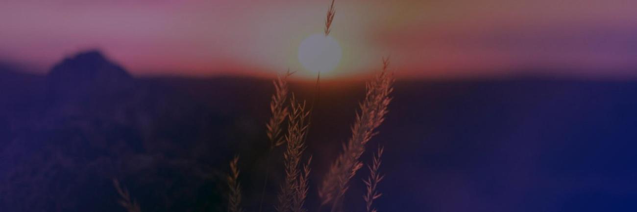 Lenten Reflection: Pick-Up Lines