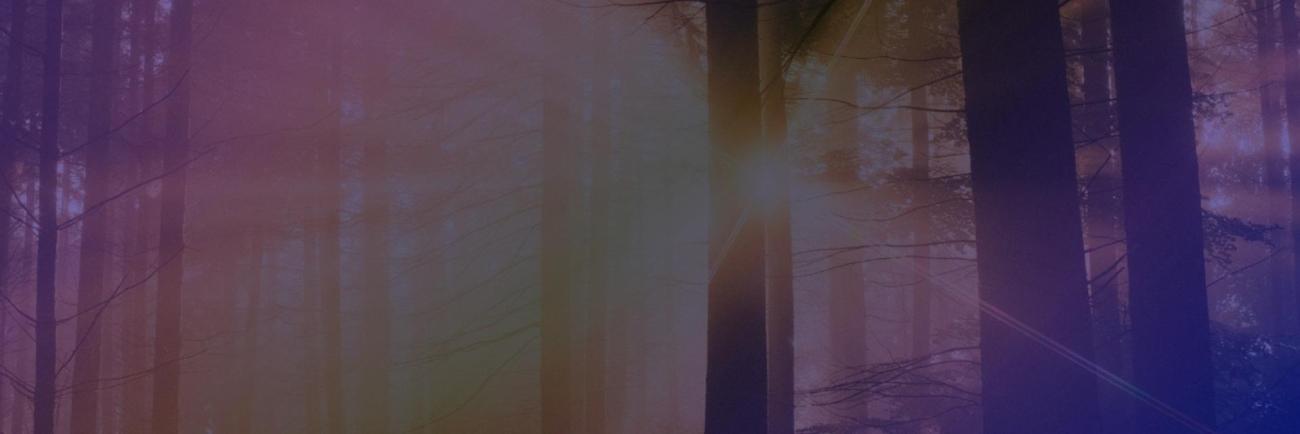 Lenten Reflection: I Am Yours