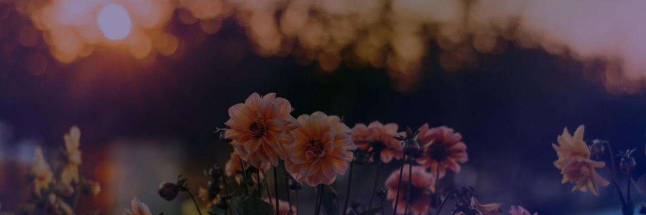 Lenten Reflection: Remember