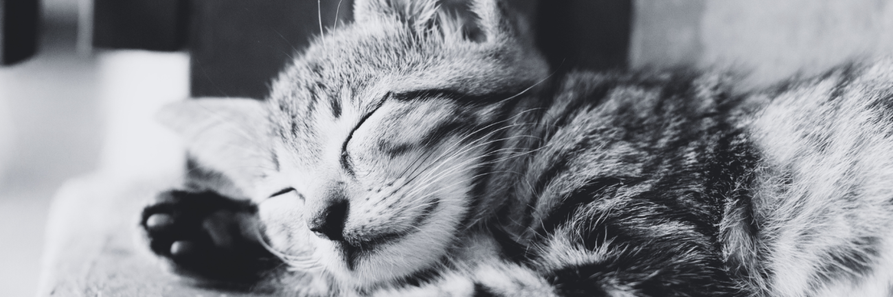 Lenten Reflection Day 3