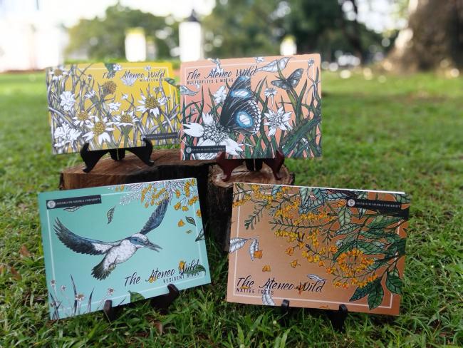 Through this series, everyone, young and old, can get to know 12 urban-dwelling species in each volume: Resident Birds, Native Trees, Wildflowers, and Butterflies and Moths from the Ateneo Loyola Heights campus