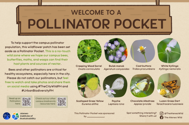 Pollinator Pocket