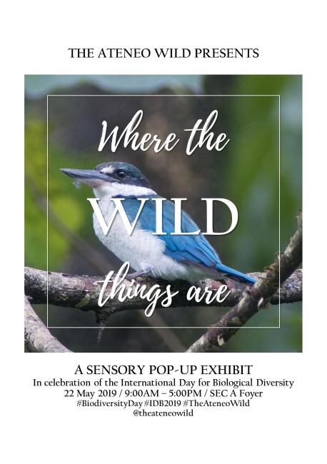 Where the Wild Things Are Poster