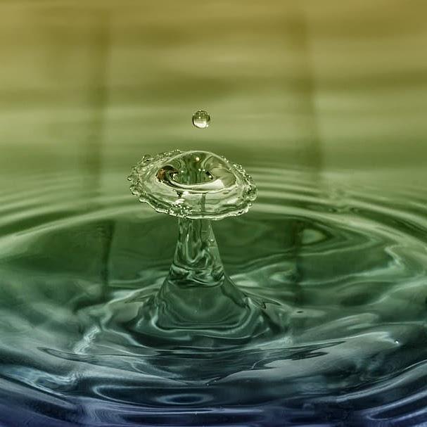 Ateneo de Manila University - Quarterly Self-Monitoring Report 2020 article thumbnail