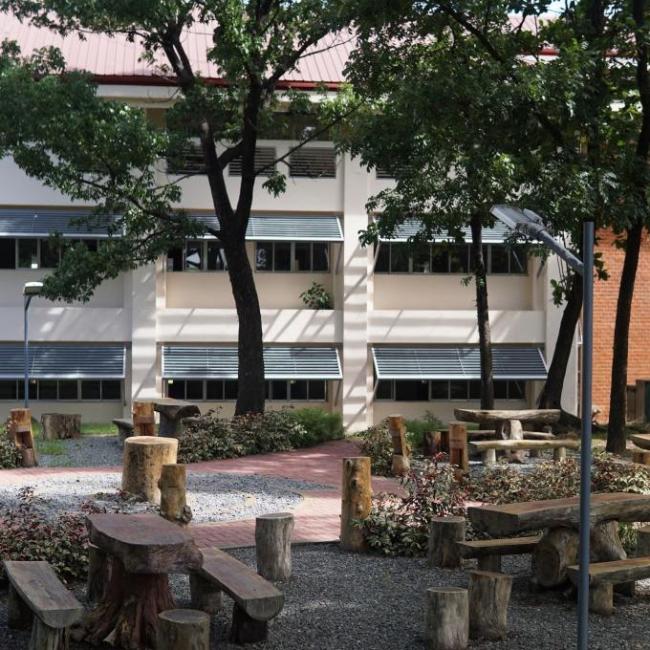 Exploring Flora and Fauna with the Ateneo Wild article image