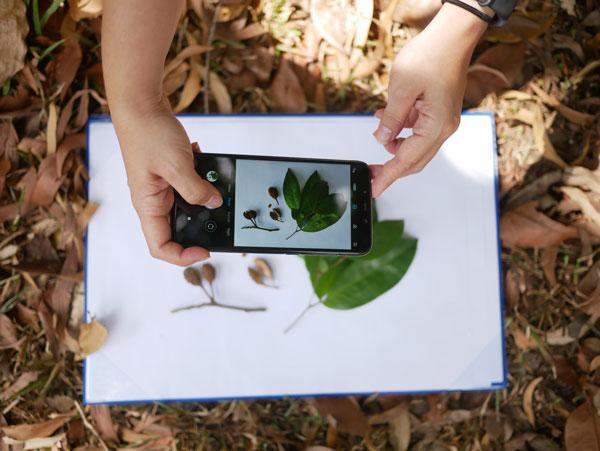 The Ateneo Wild: Urban Biodiversity Conservation at the Ateneo de Manila University