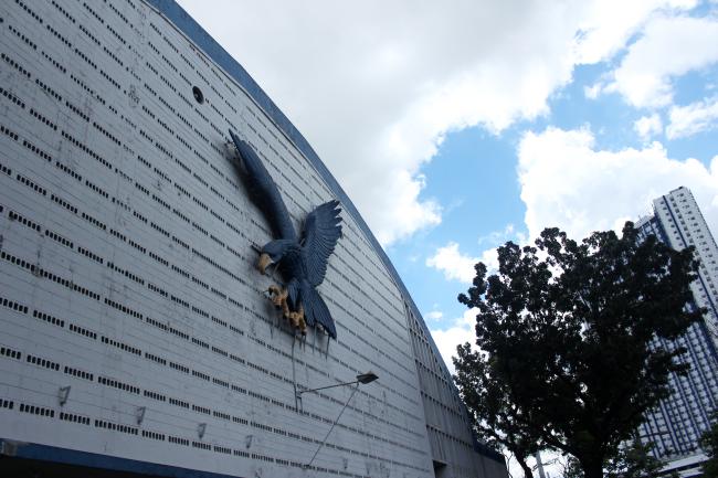 Blue Eagle Gym