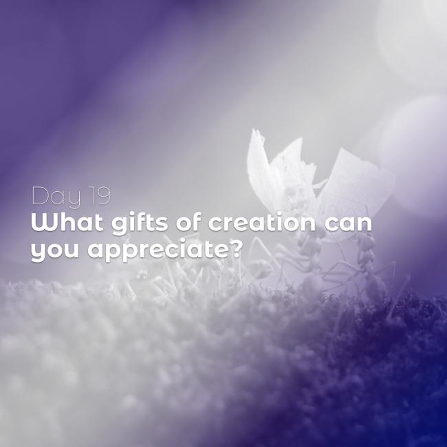 40 Days of Lent: Day 19