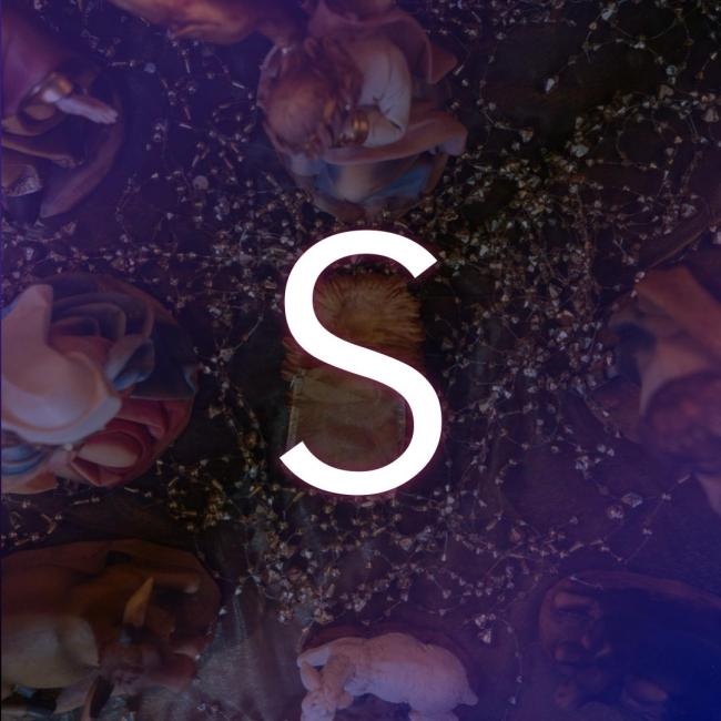 Nine Words for Christmas: S