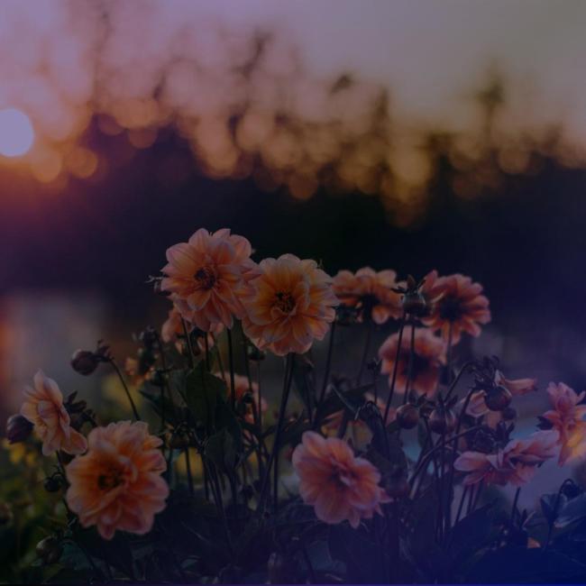 Lenten Reflection: Remember