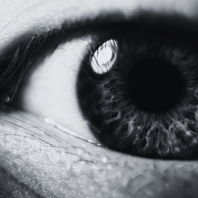 I’ll See What I Can Do