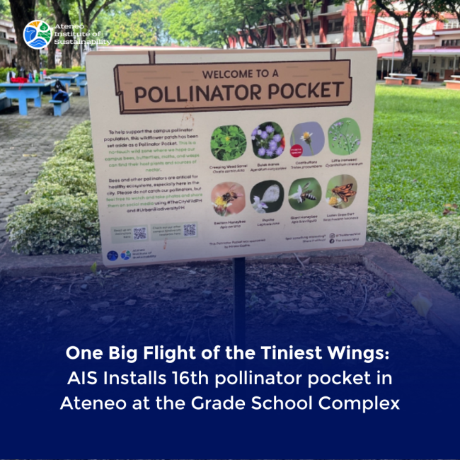 One Big Flight of the Tiniest Wings: AIS Installs 16th pollinator pocket in Ateneo at the Grade School Complex