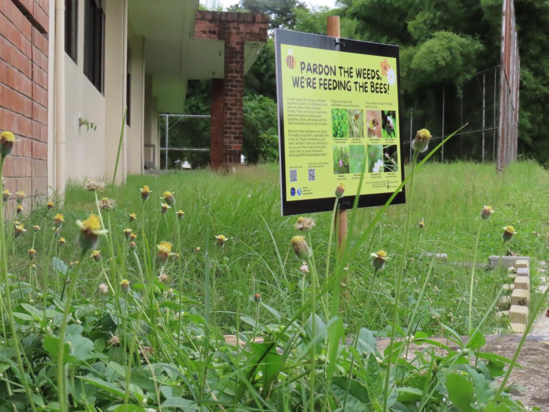 Mateo Ricci Pollinator Pocket